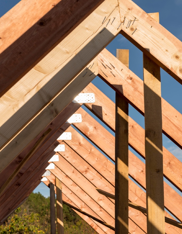 Pose de chevrons pour charpente traditionnelle Chevrons en bois alignés lors de la réalisation d’une charpente traditionnelle